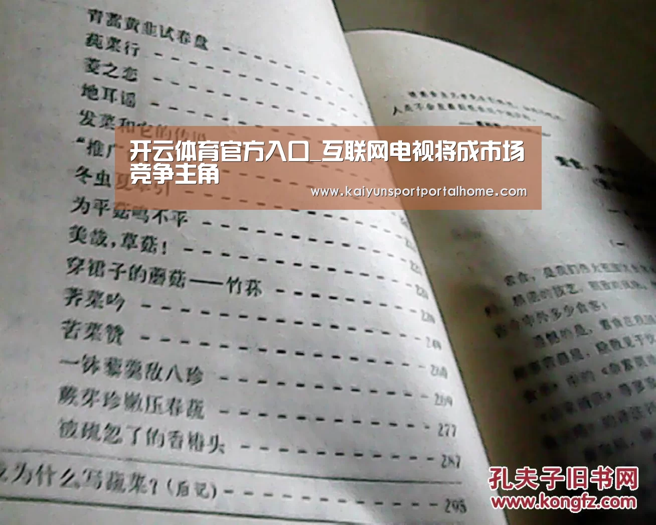 开云体育官方入口_互联网电视将成市场竞争主角